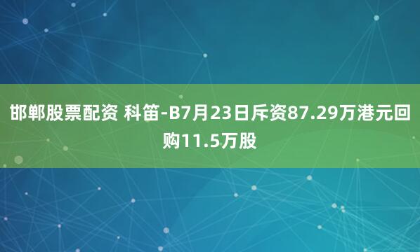 邯郸股票配资 科笛-B7月23日斥资87.29万港元回购11.5万股