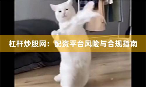 杠杆炒股网：配资平台风险与合规指南